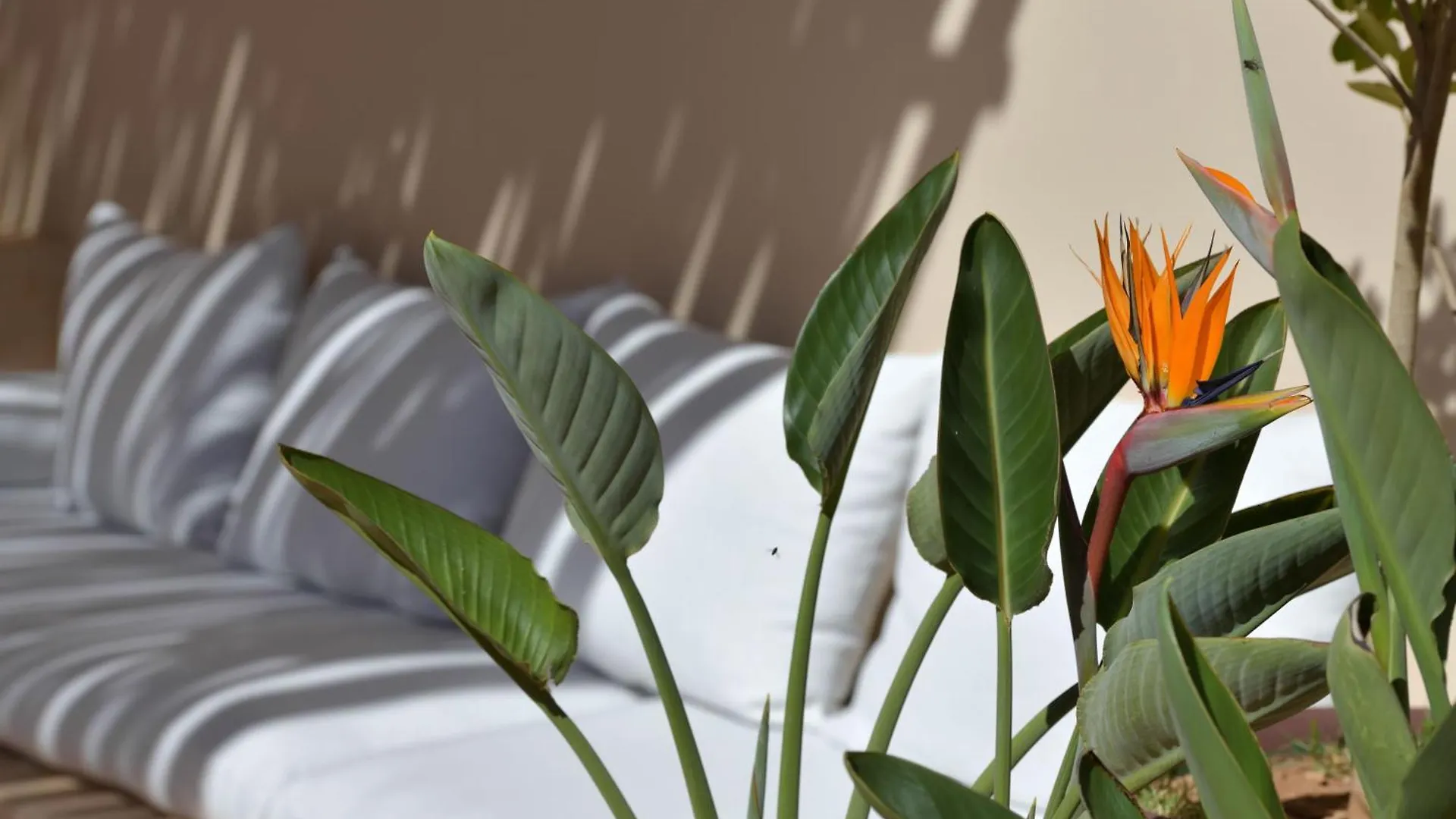 Riad Palau Marrakech マラケシュ